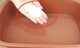 Đừng hoảng sợ nếu có nhiều gián trong nhà, hãy đặt một bát nước trong góc, và cả nhà sẽ hết sạch gián