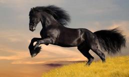 Cuối tháng 2 âm lịch: 3 con giáp có vận may lội ngược dòng, làm việc gì cũng thành, tiền bạc dồi dào không tưởng