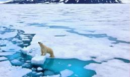 Nước biển không phải là 'nước'! Loài người đang phải đối mặt với một cuộc 'khủng hoảng nước ngọt'