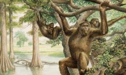 Con người có thiên địch không? Vào thời cổ đại, có một loài vật gần như đã ăn thịt tổ tiên của chúng ta