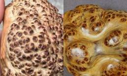 Người đàn ông sửa lại nhà cũ tìm thấy một mẩu gỗ sần sùi, chuyên gia nói với anh bán đi có thể mua được 1 chiếc xe