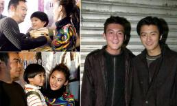 Trương Bá Chi: Tạ Đình Phong và Trần Quán Hy không phải gu, tôi thích người cứng rắn như Lưu Thanh Vân