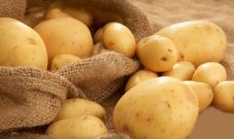 Kẻ thù của các vấn đề về dạ dày đã được tìm ra! Ăn ít mỗi ngày, xua đuổi vi khuẩn Helicobacter pylori, bụng khỏe hơn mỗi ngày