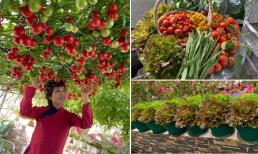 'Mẹ đảm' bật mí cách trồng rau sạch không bị sâu, rệp mà không cần phun thuốc