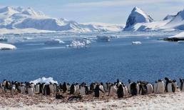 Nhiệt độ ở hai cực Bắc và Nam tăng cao bất thường, cao hơn 40 độ C so với cùng kỳ các năm trước, ảnh hưởng như thế nào đến chúng ta?