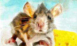 Xui xẻo gọi tên con giáp nào cuối tuần này (2 - 3/4), cẩn thận tiểu nhân, đề phòng họa mất tiền