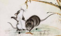 3 con giáp có cuộc hôn nhân lận đận, lấy được chồng cũng khổ, dễ 'cô đơn'