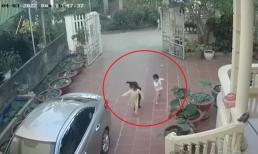 2 em bé bị chó dữ rượt đuổi, bà mẹ có hành động bản năng nhưng kịp thời
