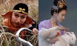 Trư Bát Giới thực sự bị trừng phạt đuổi ra khỏi thiên đình vì tội háo sắc sao? Một câu nói trên đường đi lấy kinh đã tiết lộ chân tướng