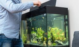 4 đồ vật trong nhà không tùy ý di chuyển, tùy ý di chuyển có thể làm hỏng tài vận