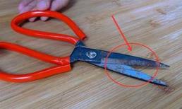 Dù kéo có cũ hay cùn đi chăng nữa thì bạn cũng đừng vội vứt đi, dạy bạn một mẹo nhỏ để kéo sắc bén như mới ngay lập tức. Phương pháp này rất hay