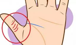 4 dấu hiệu này xuất hiện trong lòng bàn tay là bạn sẽ có nguồn tiền không ngừng, sự nghiệp hanh thông