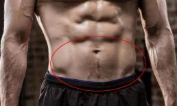 Tại sao nhiều người đàn ông có lông trên bụng?  