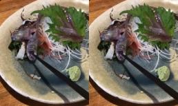 Món sashimi không thể tươi hơn khiến thực khách rùng mình