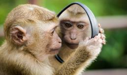 Hung tinh chiếu mạng, 3 con giáp gặp nhiều xui xẻo, tiền của dễ 'không cánh mà bay' cuối tuần này (16 - 17/4)