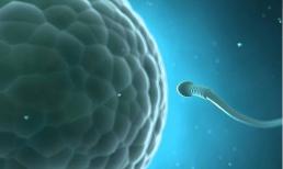 Tại sao nam giới cần “xuất binh” 3 đến 5 ngày một lần? Bạn có hiểu lợi ích không?