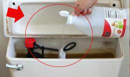 Bồn cầu bẩn và có mùi, 4 mẹo khử độc giúp bồn cầu sạch như mới! Chị em yêu thích sạch sẽ học hỏi nhé