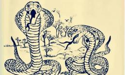 Trắc nghiệm tâm lý: Có hai con voi trong hình, bạn đã tìm được bao nhiêu con? Bạn có dễ hài lòng trong cuộc sống không?