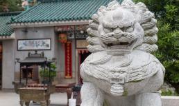 Tại sao thời cổ đại có sư tử với tượng sư tử đá để canh giữ cửa thành? Các nhà sử học tiết lộ lý do tại sao