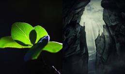 Sống hướng tới cái chết khiến sinh mệnh của chúng ta hoàn thiện hơn!