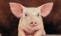 Hung vận lấn át cát vận, khó khăn chồng chất khó khăn, 3 con giáp xui xẻo đủ đường cuối tuần này (30/4-1/5)