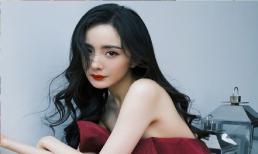 Dương Mịch bất ngờ tuyên bố tạm dừng đóng phim