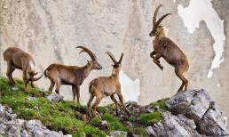 Giữa tháng 4 âm lịch: 3 con giáp 'kết duyên' với Thần Tài, 'làm bạn' với quý nhân, cuộc sống thăng hoa viên mãn đáng mong chờ