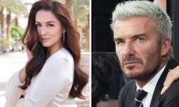 'Mỹ nhân đẹp nhất Philippines' bất ngờ bị chê mặt dày giống David Beckham, chuyện gì đang xảy ra?