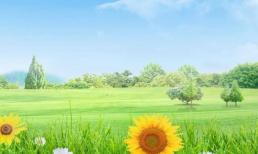 Những câu triết lý khiến người ta cảm thấy bình tĩnh, sâu lắng, ấm áp và chữa lành