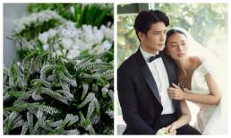 Ngô Thanh Vân hé lộ hậu trường tổ chức hôn lễ, chỉ chi tiết này cũng biết tốn kém cỡ nào