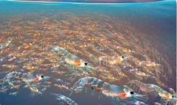 Loài nhuyễn thể Nam Cực được mệnh danh là “hải sản”: khai thác 300 triệu tấn ăn mỗi năm vẫn không hết? 