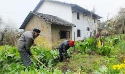 Người thân ốm nặng tìm bạn vay tiền, có khả năng sẽ không trả được, bạn có cho vay không? Hãy nghe những gì hai người này nói