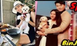 Vợ chồng Hyun Bin - Son Ye Jin bị bắt gặp cùng nhau đưa 'bé cưng' đến bệnh viện sau hơn 1 tháng đám cưới?