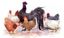 Đúng Rằm tháng 4 âm lịch: 3 con giáp được Thần Tài cưng chiều hết mực, muốn nghèo cũng khó, gặt hái vô số thành công vang dội