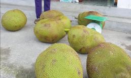 Con dâu hiếm muộn 5 năm bị hàng xóm làm tổn thương, mẹ chồng liền có cách dằn mặt cực gắt 