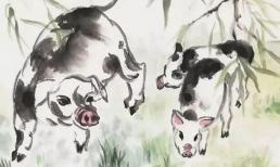 Những người tuổi Hợi hợp với ai? Ai là người bảo trợ may mắn lớn nhất?