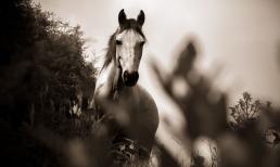 Nửa cuối tháng 4 âm lịch: 3 con giáp làm gì cũng phải cẩn trọng, chỉ sơ sẩy bất cẩn là hỏng việc