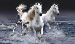 Top 3 con giáp xui xẻo nhất  cuối tuần này (14 - 15/5), rắc rối liên miên, làm gì cũng không thành