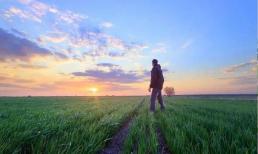 Người thực sự thông minh sẽ không coi anh chị em mình như kẻ thù chỉ vì quyền lợi của mình, chỉ có kẻ thấp kém mới làm như vậy!