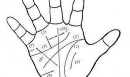 Đặc điểm tướng tay “làm giàu” tài lộc gấp 10 lần so với người khác, nhất là về già!