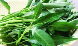 Loại rau này rẻ và có giá trị dinh dưỡng cao, ăn thường xuyên có thể làm giảm huyết áp và lipid máu, ngăn ngừa đột quỵ