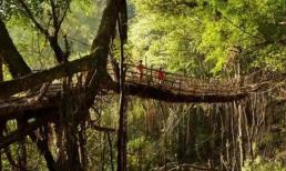 Cây cầu 'thuần tự nhiên' nhất Ấn Độ, ngày càng an toàn và chắc chắn hơn trong 500 năm