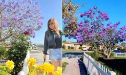 Ngọc Anh 3A khoe khu vườn tự tay chăm bón trong không gian sống ở Mỹ 