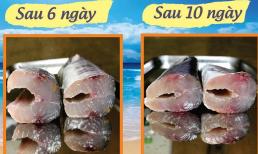 Mẹo bảo quản cá được tươi lâu và ngon hơn, bà nội trợ nào cũng nên biết 