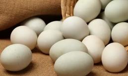 Trứng gà, trứng vịt, trứng ngỗng, trứng cút, loại nào bổ dưỡng hơn? Bác sĩ: Ăn càng ít càng tốt 1 loại trứng 