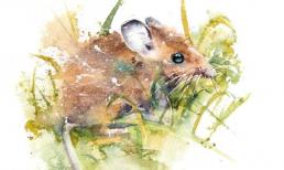 Cuối tuần này (21-22/5), top 3 con giáp may mắn ngập lối, bùng nổ tài lộc, liên tiếp thu hái thành công