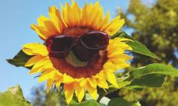 Trẻ em có dùng được kem chống nắng của người lớn không? 4 điều bạn phải biết về kem chống nắng cho trẻ em