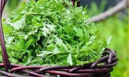 Điều gì xảy ra nếu thường xuyên gội đầu bằng nước đun sôi ngải cứu? Bạn có thể gặt hái được 5 lợi ích này