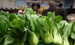 4 loại rau có hàm lượng canxi cao hơn cả sữa, mua về nấu cho trẻ ăn, xương chắc khỏe, chiều cao vượt trội