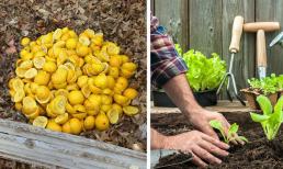 8 công dụng ít người biết của vỏ cam trong cuộc sống hàng ngày